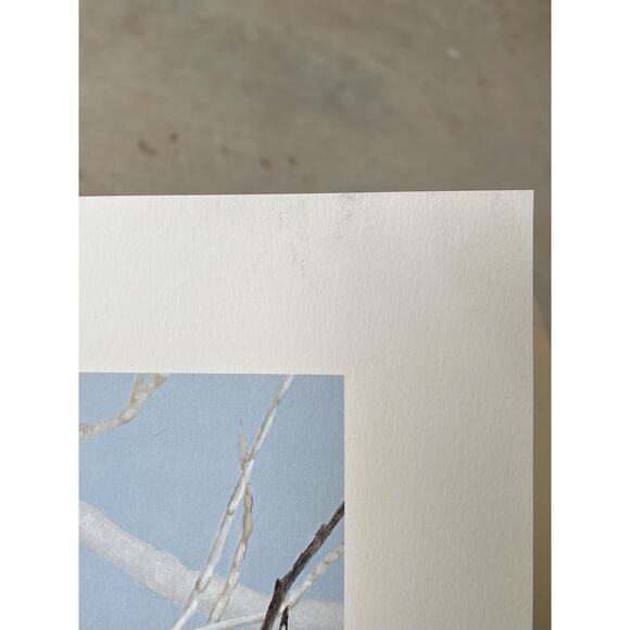 1984 Charles Fracé “Bandit, Raccoon” Large Signed Lithograph Print 30”X22” w/COA - Picture 14 of 14